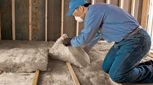 Best Wall Insulation Installation  in Henderson, NC